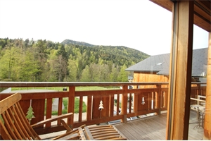 chalet à la vente -   74450  SAINT JEAN DE SIXT, surface 218 m2 vente chalet - UBI431436041