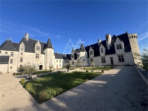 chateau à la vente -   36700  CHATILLON SUR INDRE, surface 3000 m2 vente chateau - UBI441603479