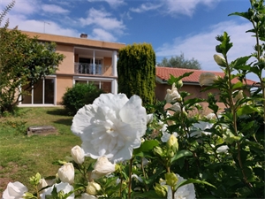 maison à la vente -   82000  MONTAUBAN, surface 266 m2 vente maison - UBI441902858