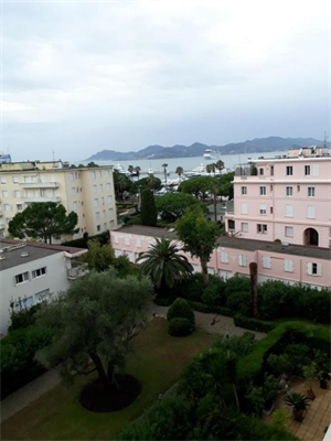 studio à la location -   06400  CANNES, surface 40 m2 location studio - UBI438787298