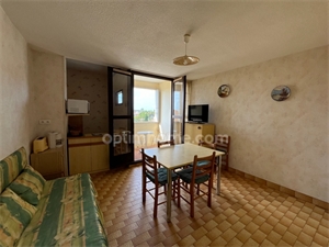 appartement à la vente -   34300  LE CAP D AGDE, surface 31 m2 vente appartement - UBI434795801