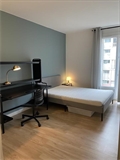 Chambre à la location